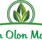 Hyvän Olon Maailma- maahantuontiyrityksen logo. Valkoisella pohjalla vihreä teksti sekä lehden kuva.